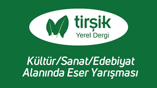 Kültür/Sanat/Edebiyat Alanında Eser Yarışması