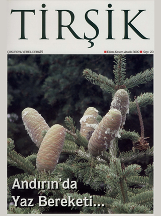 Tirşik Dergisi 20. Sayı