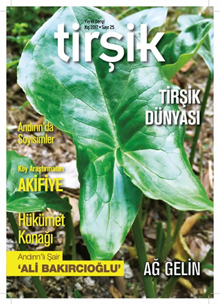 Tirşik Dergisi 25. Sayı