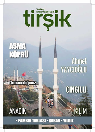 Tirşik Dergisi 29. Sayı