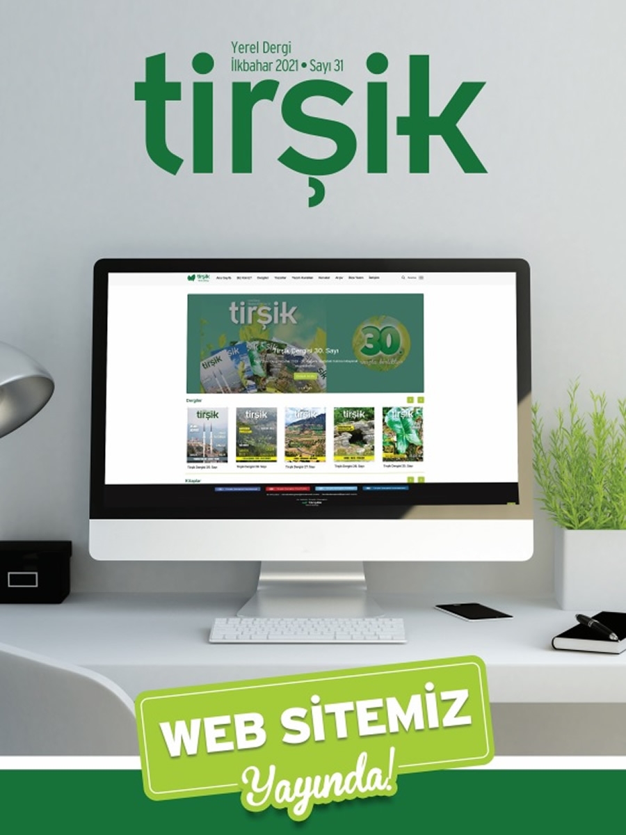 Tirşik Dergisi 31. Sayı