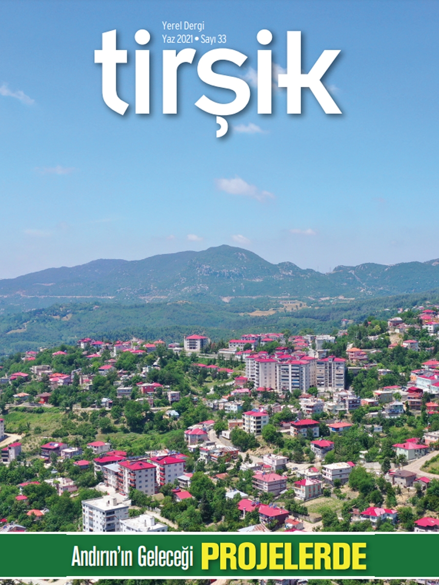 Tirşik Dergisi 33. Sayı