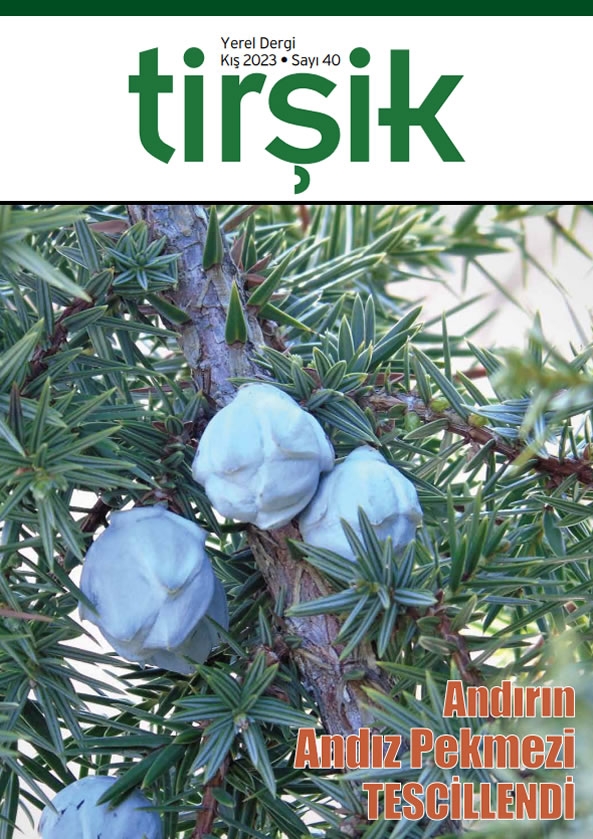 Tirşik Dergisi 40. Sayı