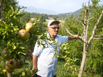 İş Adamı Mustafa Dal